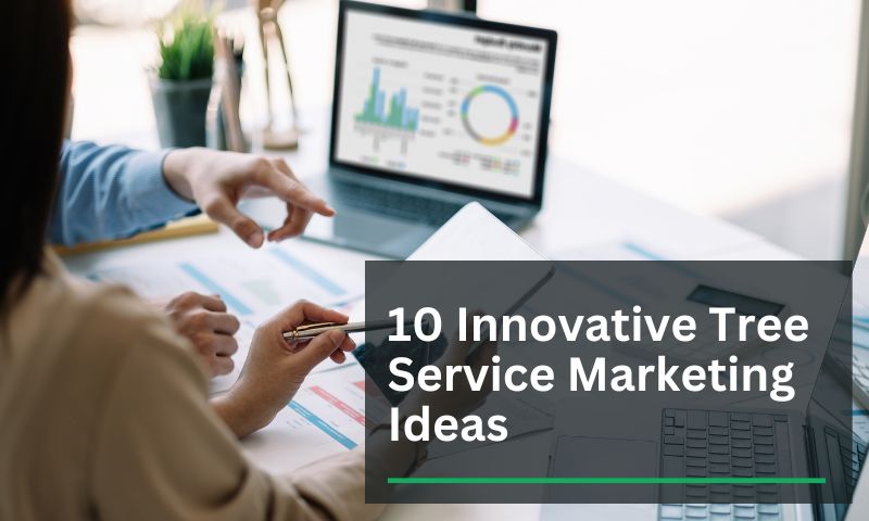 Innovative Tree Service Marketing Ideas