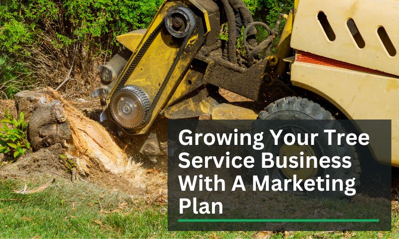 Growing Your Tree Service Business With A Marketing Plan
