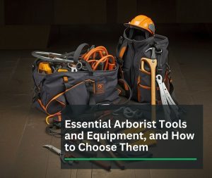 Essential-Arborist-Tools-and-Equipment-and-How-to-Choose-Them