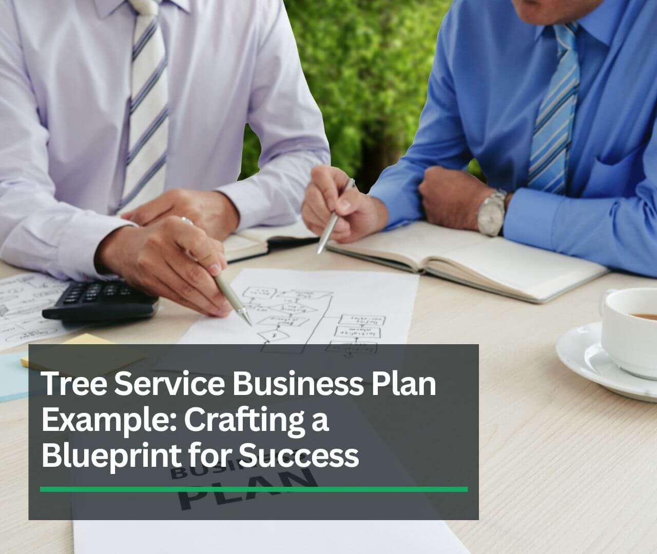 Tree Service Business Plan Example Crafting a Blueprint for Success