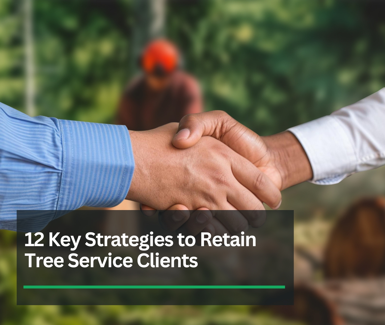 How To Retain Tree Service Clients: 12 Key Strategies