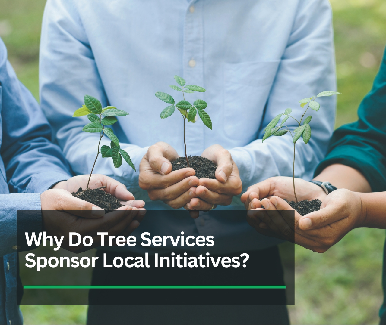 Tree Services: Why Sponsor Local Initiatives? | Local Tree Service Marketing