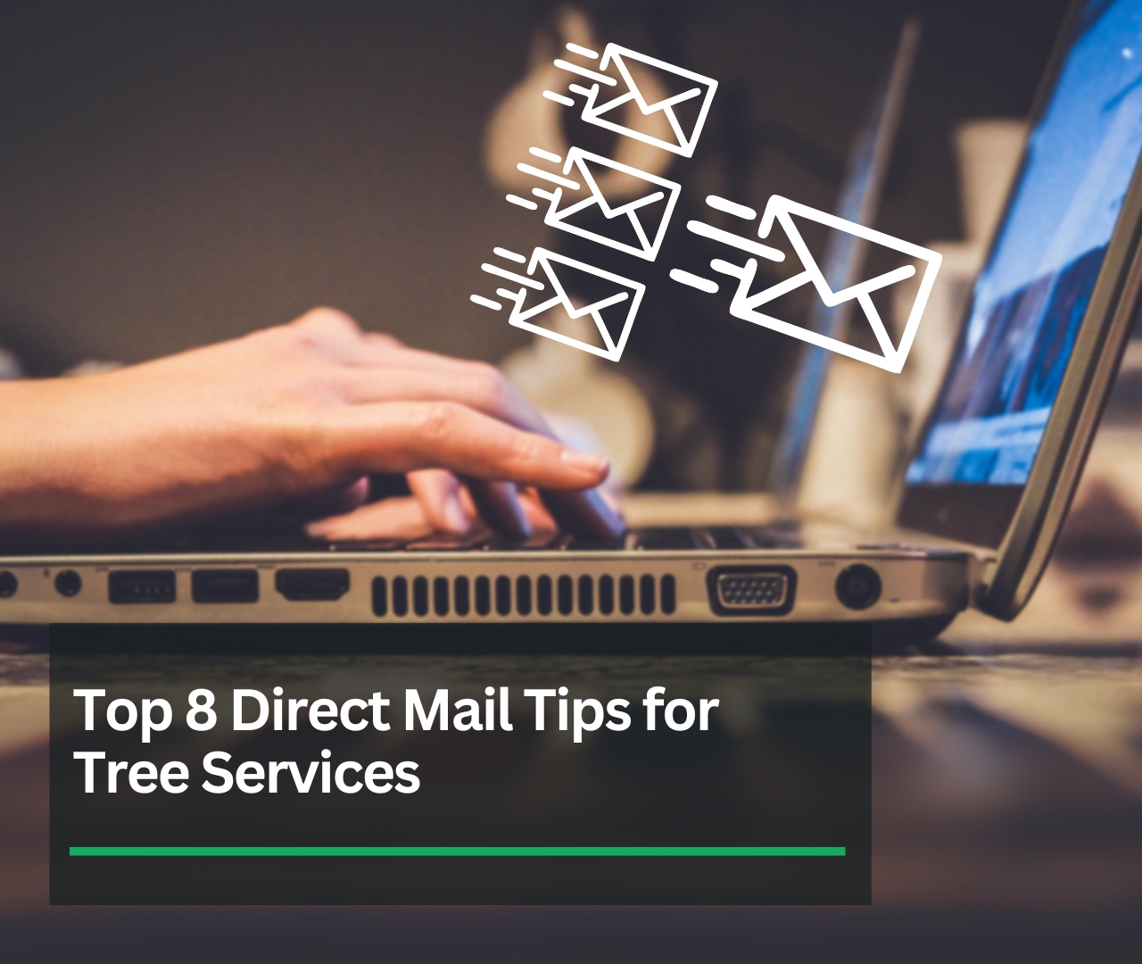 Tree Service Direct Mail Tips | Local Tree Service Marketing