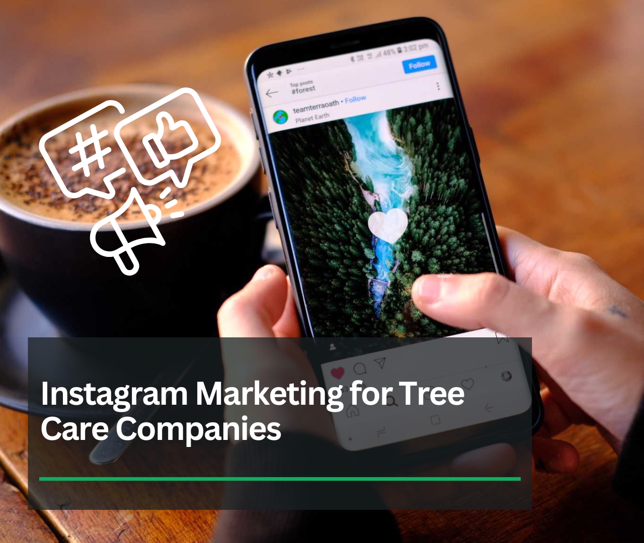 Instagram Marketing for Tree Care Companies: Essential Tool